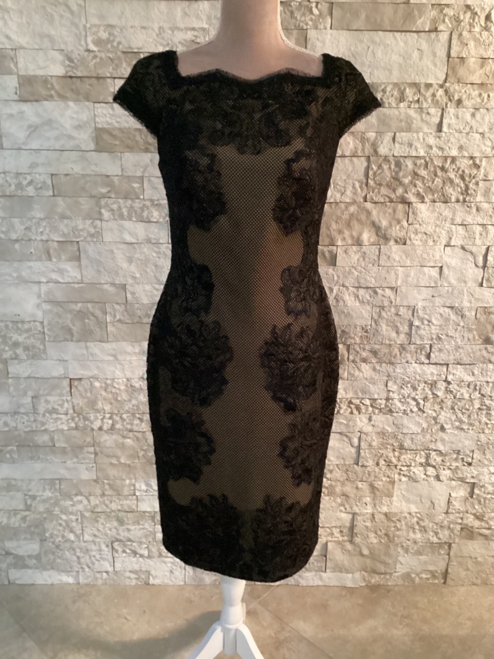 Tadashi Shoji Contrast Lace Panel Neoprene Cap Sleeve Dress